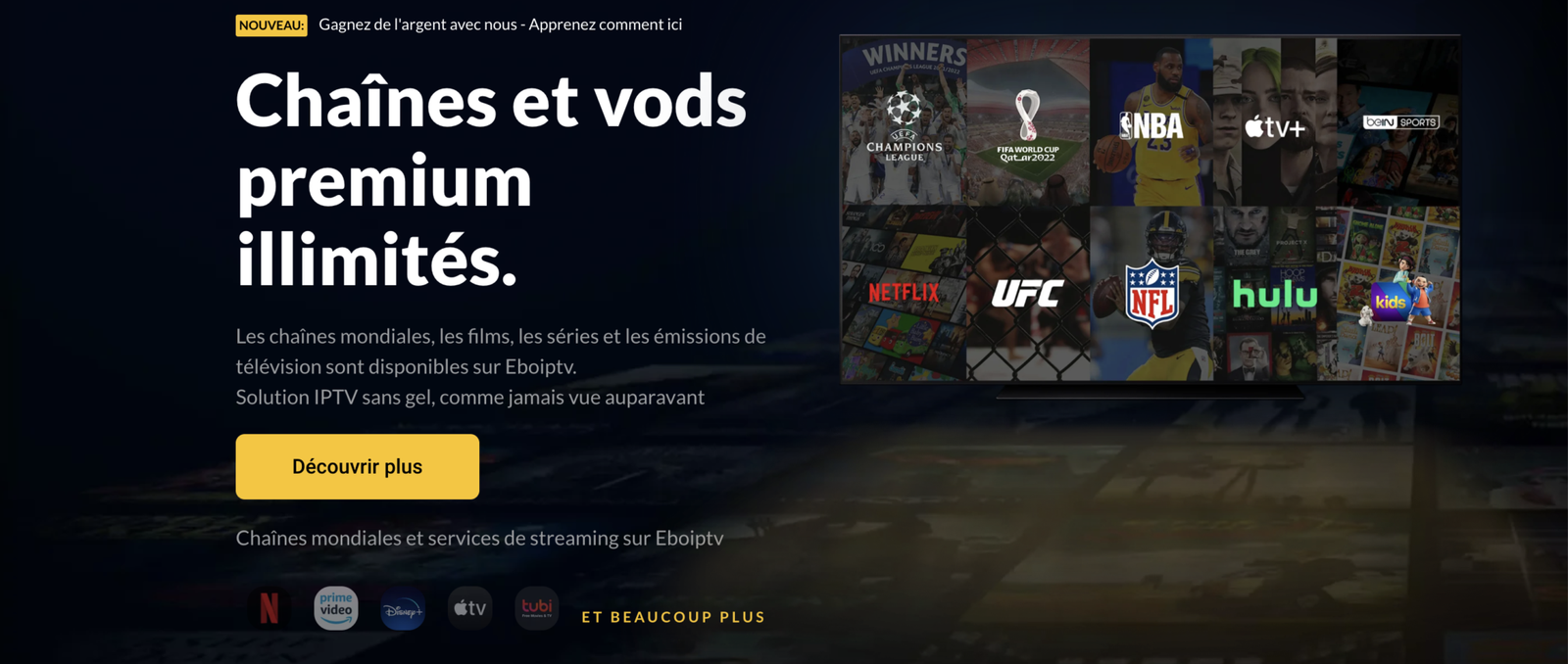 Capture d’écran : EBO IPTV — tarifs et lecture (avis test)