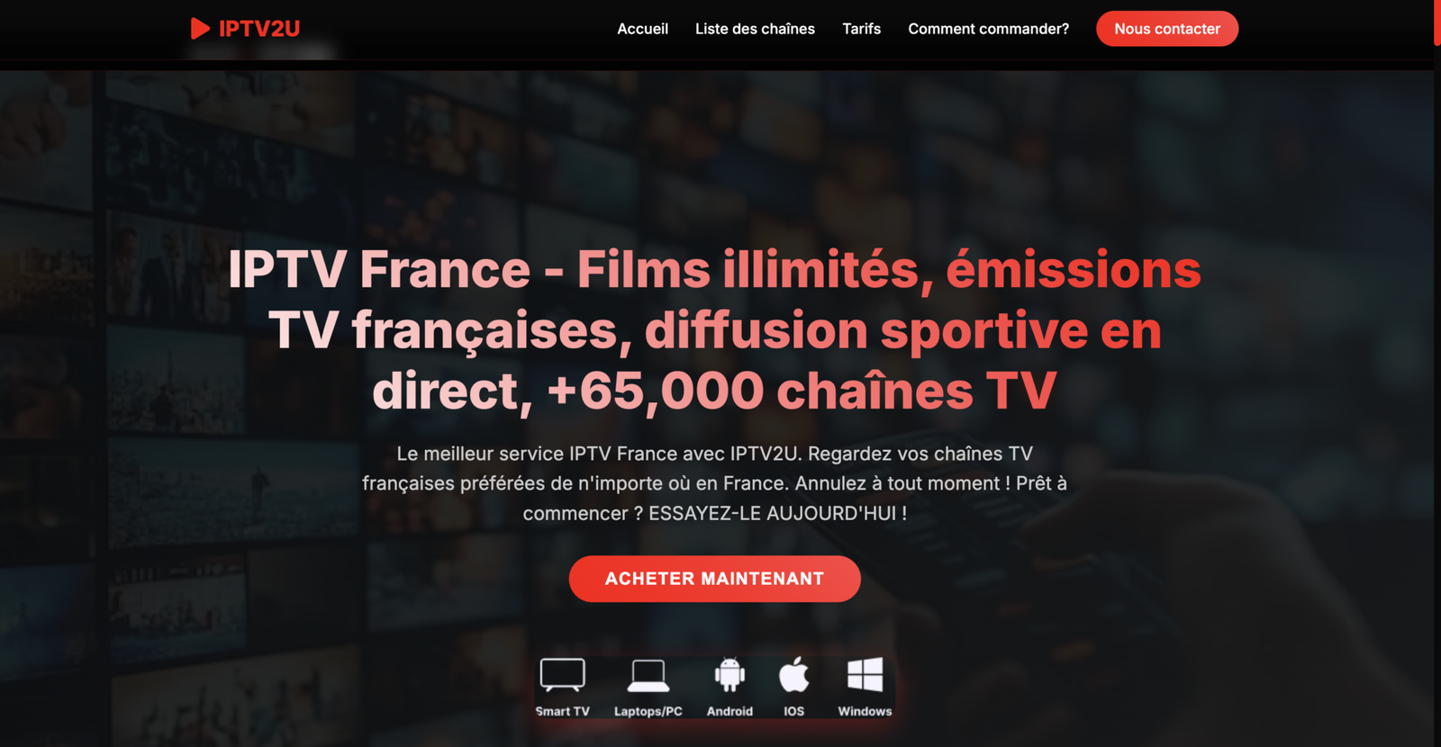 Capture d’écran : IPTV 2U — installation et guide débutant